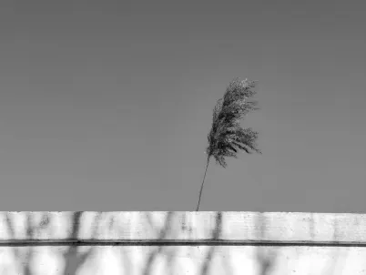 Casino Classy Slots App Mobile